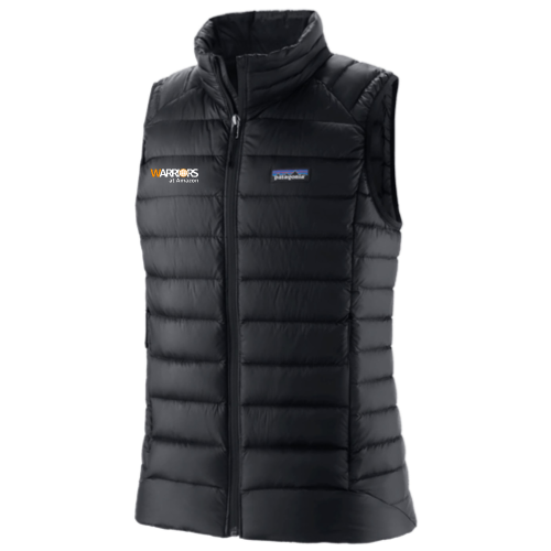 Warriors at Amazon Womens Patagonia Womens Down Sweater Vest