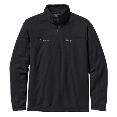Families at Amazon - Patagonia Men's Micro D Quarter-Zip