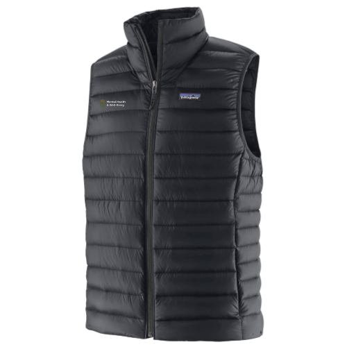 Mental Health and Wellbeing - Patagonia Men's Down Sweater Vest