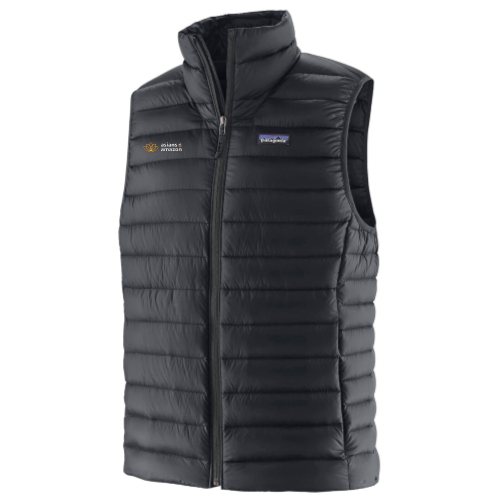 Asians at Amazon - Patagonia Men's Down Sweater Vest
