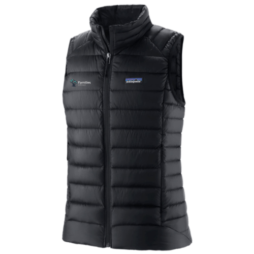 Families at Amazon - Patagonia Women's Down Sweater Vest