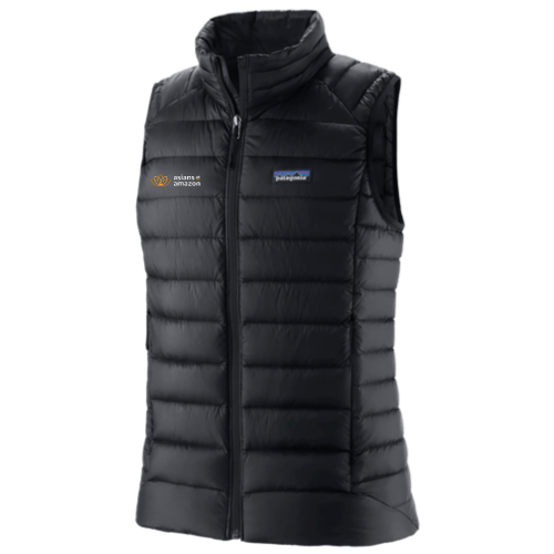 Asians at Amazon - Patagonia Women's Down Sweater Vest