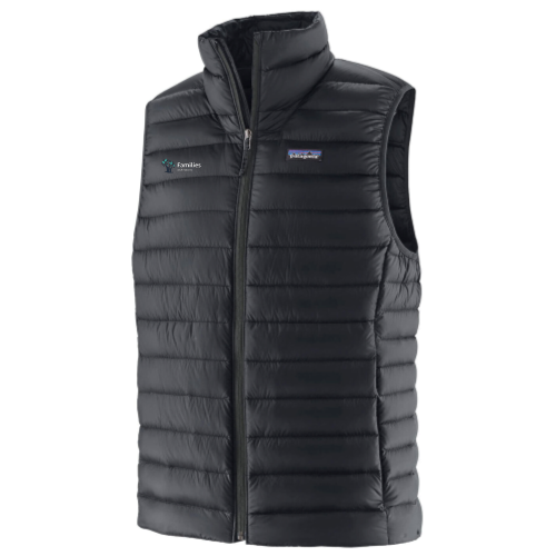 Families at Amazon - Patagonia Men's Down Sweater Vest