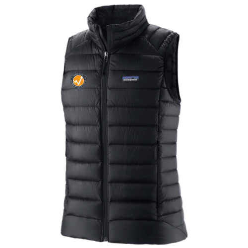 Women in Finance - Patagonia Women's Down Sweater Vest