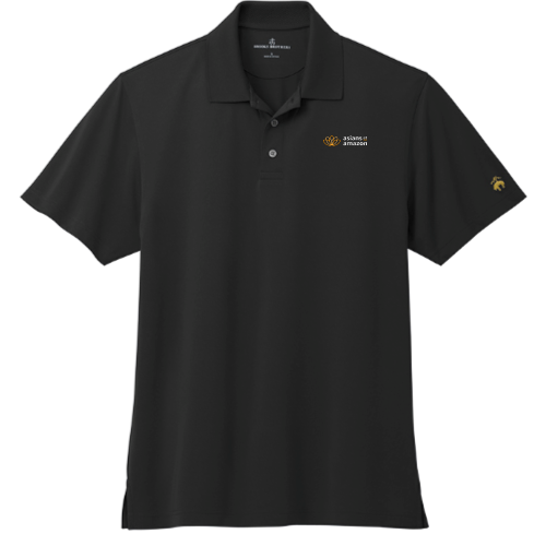 Asians at Amazon - Brooks Brothers Mesh Pique Performance Polo