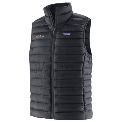 Latinos at Amazon - Patagonia Men's Down Sweater Vest