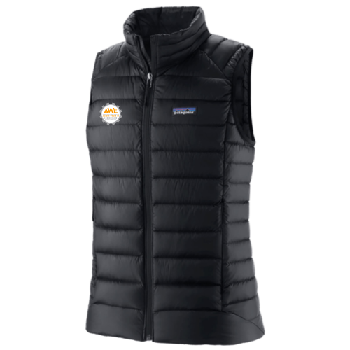 Women In Engineering - Patagonia Women's Down Sweater Vest